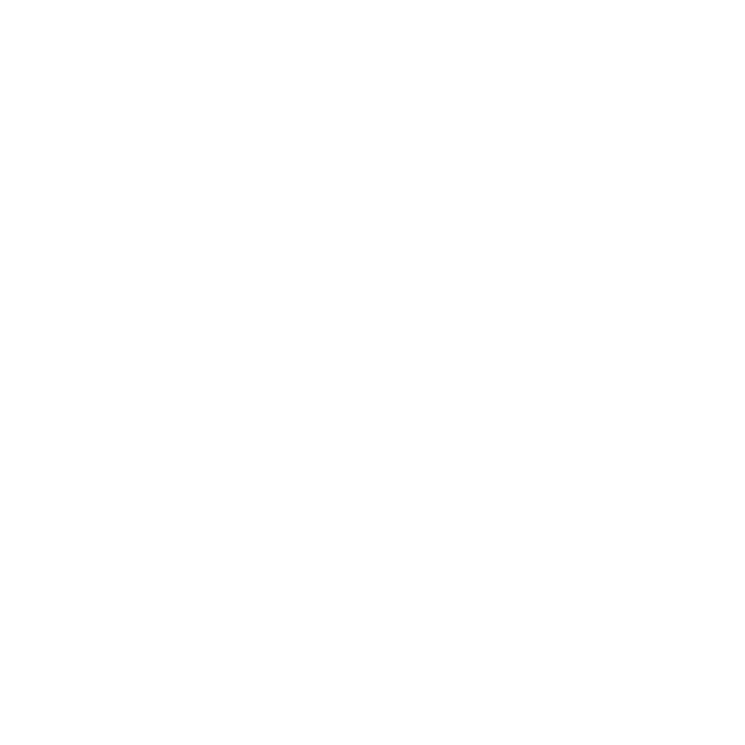 Bongo Limited Company Logo